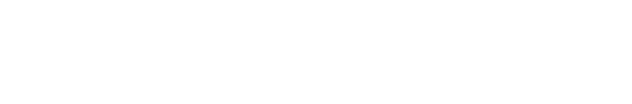 Rayscan
